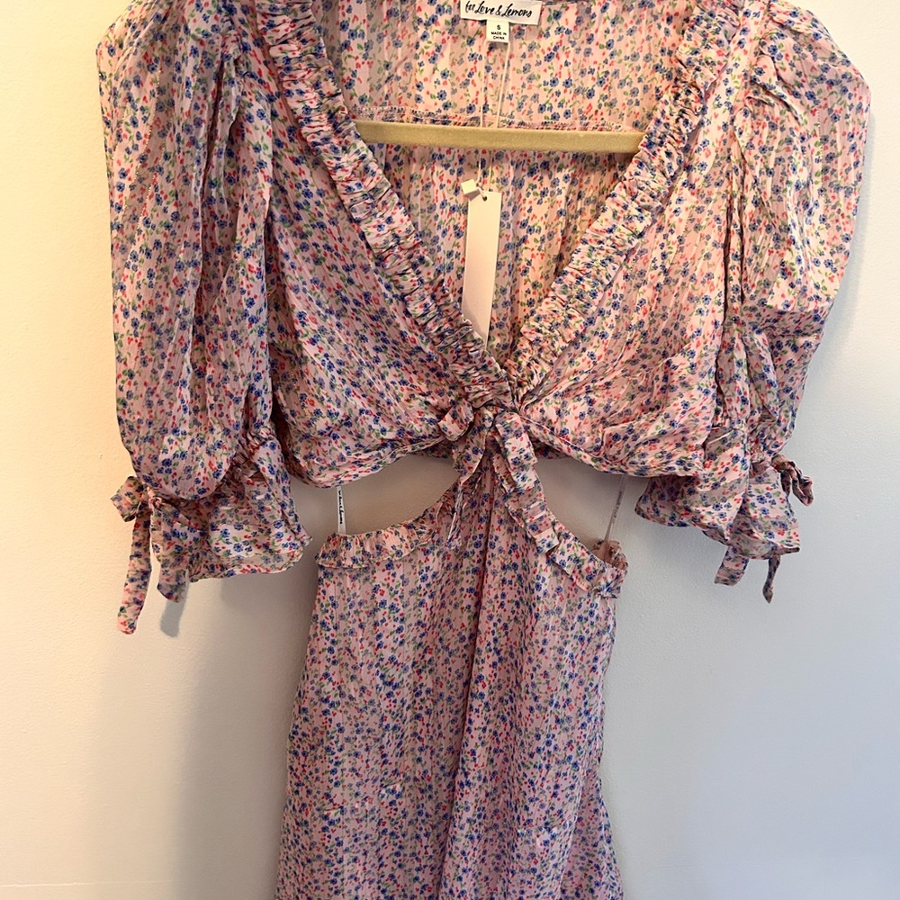 For Love & Lemons Floral Ruffle Dress
